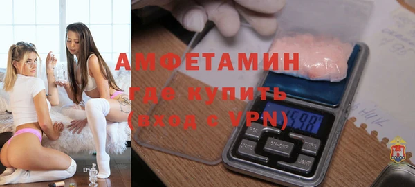 молекула духа Богданович