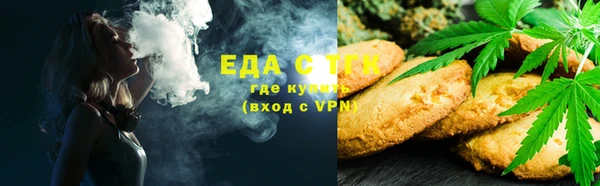 молекула духа Богданович