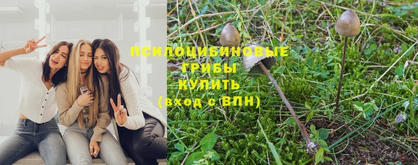 молекула духа Богданович