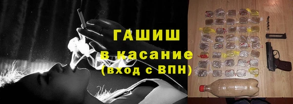 молекула духа Богданович