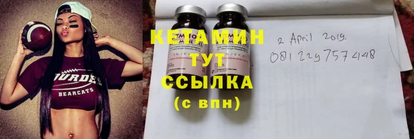 молекула духа Богданович