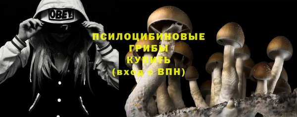 спайс Богородицк