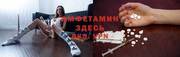 молекула духа Богданович
