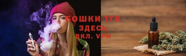 молекула духа Богданович