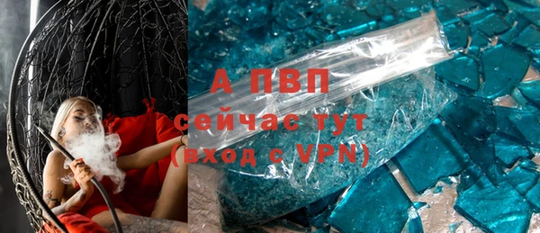молекула духа Богданович