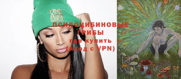 PSILOCYBIN Богородск