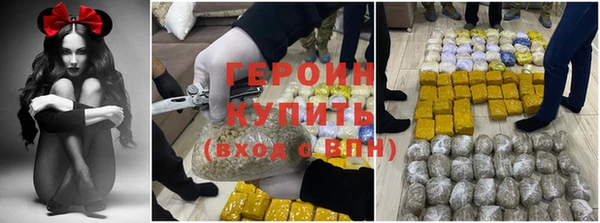 молекула духа Богданович