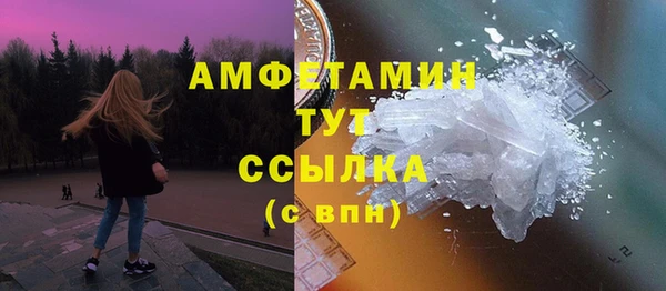 молекула духа Богданович