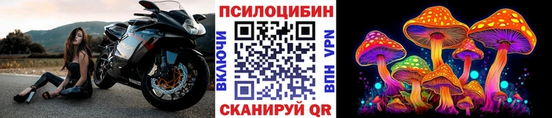 Галлюциногенные грибы Psilocybine cubensis  Кола 